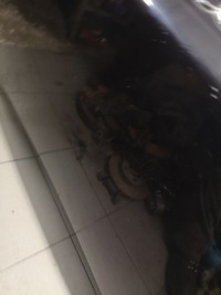 фото thumb №7, Крышка багажника audi a8 d2 передний fl lz5l lubelskie