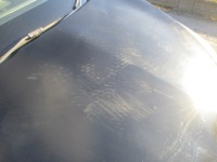 Капот крышка двигателя renault megane 3 универсал tegne рестайлинг  12-13 с Разборки, фото thumb