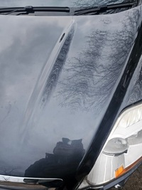 фото thumb №5, Капот крышка двигателя ford kuga mk1 h8 przedlift