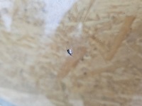 фото thumb №5, Скло передня mercedes w164 ml оригінальна