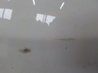 фото thumb №6, Land rover l550 бампер перед передний