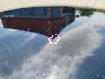 фото thumb №11, Mustang v 5 10-13 капот кришка двигуна ідеальна