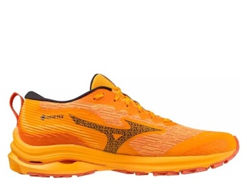 Мужские кроссовки для трейлраннинга Mizuno Wave Rider GTX M J1GC227902 47