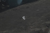 фото thumb №5, Двері праве перед orlando gar