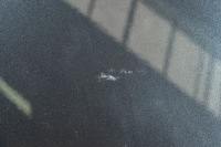 фото thumb №7, Bmw 6 m6 f12 f13 coupe cabrio двері праве b41 singapurgrau металік