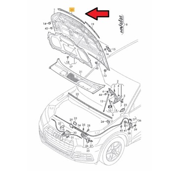 Центральный уплотнитель капота AUDI Q5 2017 г.в.-... 80A823124