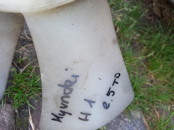 фото thumb №5, Hyundai h1 starex h300 08- wisco visco вентилятор