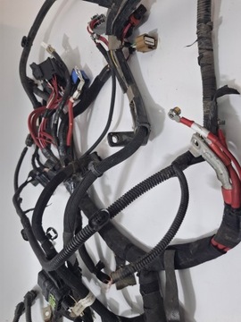 фото thumb №7, Установка джгут двигуна renault kangoo ii iii рестайлінг z.e. 13-21 #7888