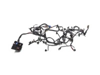 фото thumb №1, Джгут електропроводка двигуна renault laguna iii 2.0 dci 240110092r