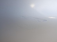 фото thumb №15, Бампер зад задній seat alhambra i vw sharan i рестайлінг fl 2000-2010 - la9b