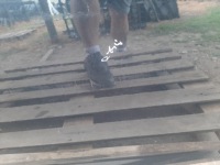 Купити Двері праве перед ford focus 3 mk3 2011-2015 колір fb, фото thumb