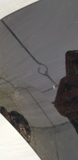 фото thumb №7, Toyota proace ii 2 electric 16- крила перед передній лівий