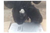 Капот mitsubishi outlander Ціна, фото thumb