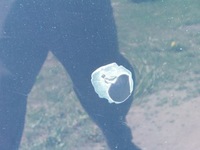 фото thumb №6, Капот 816 mercedes c w203 2,2 cdi