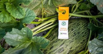 20x SWIRSKI Ulti-Mite zwalcza WCIORNIASTKI i MĄCZLIKI | BIO ROZTOCZA