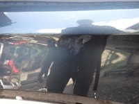 фото thumb №3, Крило лівий перед переднє cupra formentor 5ff km7 2020- 5ff821021