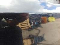 фото thumb №7, Двері правий перед ford kuga mk1 колір f8