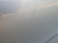 фото thumb №15, Дверь перед + задняя левая bmw e60 354 titansilber