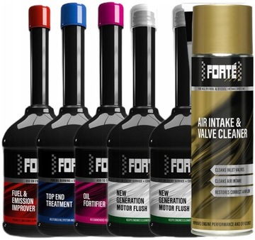 Forte упаковка бензиновая профилактика ремонта топливной системы