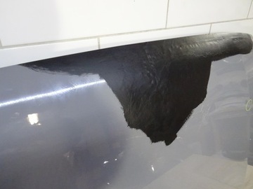 фото thumb №6, Капот кришка двигуна ford transit custom mk2 2023- grad оригінал llu