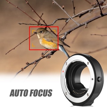 FOTGA OEM4/3(AF) Переходное кольцо с 4/3 на M4/3 a