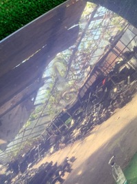 фото thumb №9, Кришка передня капот двигуна mazda 6 i gg gy wwa