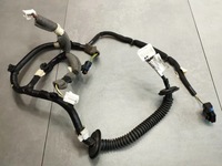 фото thumb №1, Renault kadjar джгут двері ліва задня 241270725r