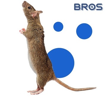 Bros LEP для МЫШЕЙ и КРЫС привлекает запахом орехов