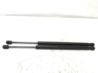 фото thumb №1, Амортизаторы амортизаторы капот tesla model s комплект