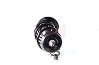 фото thumb №2, Auto-gh амортизатор +пружина перед