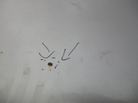 фото thumb №5, Капот кришка двигуна volvo xc90 456-46 uk 04r.