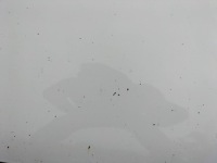 Купить Капот крышка двигателя mercedes-benz vito w447 2014- 9147, фото thumb