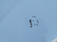 фото thumb №6, Капот оригинальный лак hyundai i30 i lift 2010-2012 белый