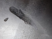 фото thumb №11, Hyundai getz lift 05-11 бампер задняя задний 86611-1c310