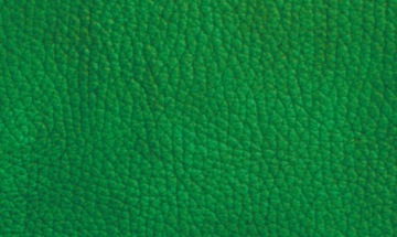 Краска для кожи Краска для кожи 50г SHERLOCK PAINT UNITERS