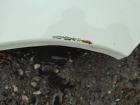 фото thumb №11, Citroen jumper iii pas переднее капот крылья лампы бампер комплект 17r