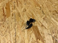 фото thumb №5, Датчик удара ударный штекер mercedes w206 w223 w177 a2239052400