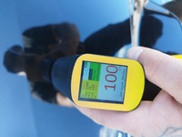 фото thumb №14, Кришка скло зад renault scenic iii 3 рестайлінг 2012-2016 колір tegne