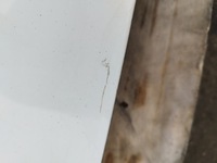 фото thumb №13, Крышка багажника багажника ford ka mk2 ii цвет f9 lata 2008-2016 оригинал