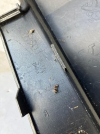 фото thumb №7, Уголок бампера правый задняя peugeot 3008 ii 9811018977