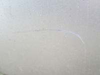 фото thumb №15, Бампер задняя задний opel astra k hb