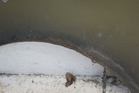 фото thumb №15, Крило праві перед bmw e90 e91