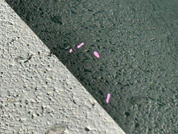 фото thumb №7, Bmw 4 i4 g22 g23 g24 g26 gran купе двері зад правий праві задні bdb