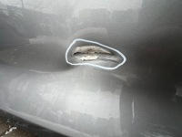 Кришка багажника задній задня kia ev9 Київ, фото thumb