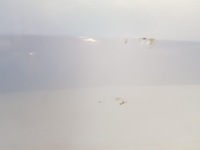 фото thumb №8, Двері передні праве honda jazz iii 08-15