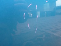 фото thumb №5, Citroen c3 picasso дверь правое правый задняя