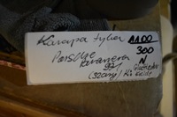 фото thumb №7, Диван задняя kpl. кожа porsche panamera 971 glattleder kreide 1