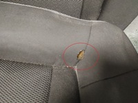 фото thumb №8, Сиденья диван hyundai i40 1.7crdi рестайлинг универсал ue