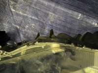 фото thumb №3, Mitsubishi eclipse cross левая лампа full led