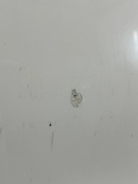 фото thumb №2, Двері зсувні ліва renault trafic opel vivaro